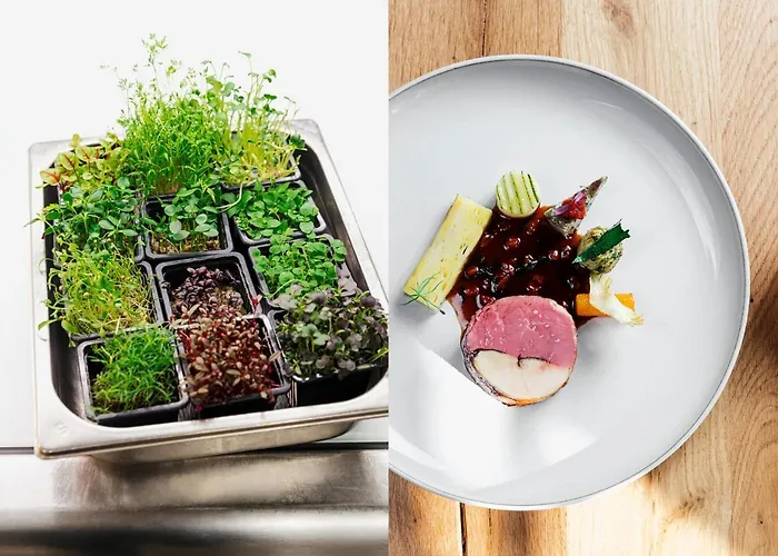 Maiensaesshotel Guarda Val Otel 4*