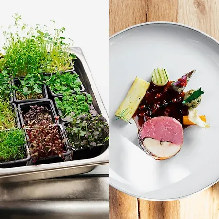 Maiensaesshotel Guarda Val 호텔 4*