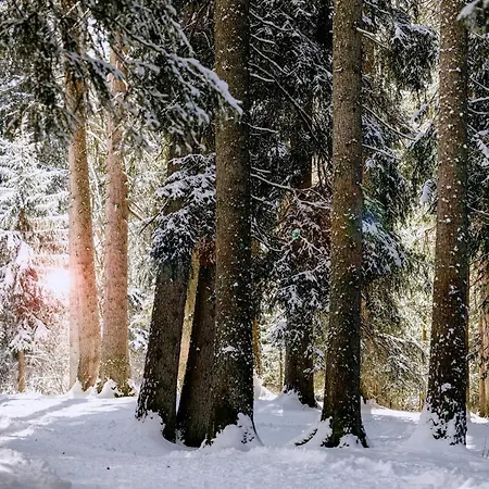 Maiensaesshotel Guarda Val 렌쩨르하이데